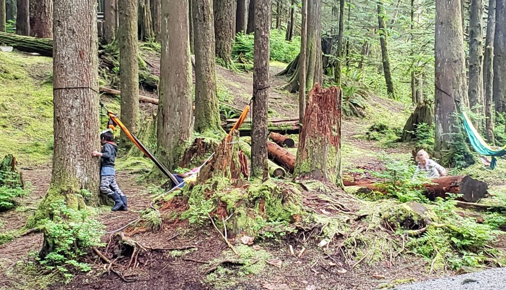 Golden Ears Provincial Park